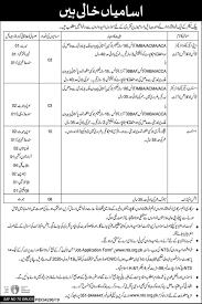 NTS Jobs 2025: Latest Career Opportunitie